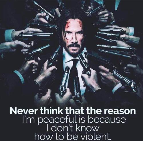 image_1635705688.755