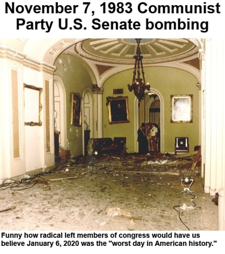 Susan Rosenstein bombing incident