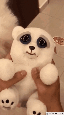 dogface