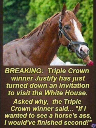 TripleCrown