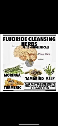 0DCBF112-A2C2-4FCF-8397-7AB63DA662EF