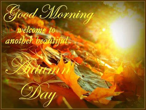 gmbeautifulfallday