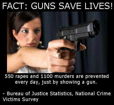 Guns480