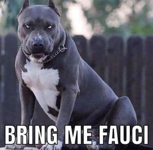 image_1635243690.927