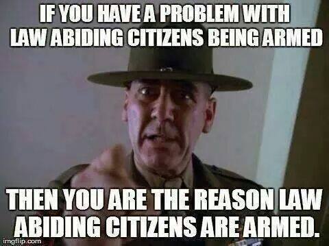 Guns351