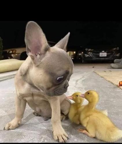 FB_IMG_1635366755328