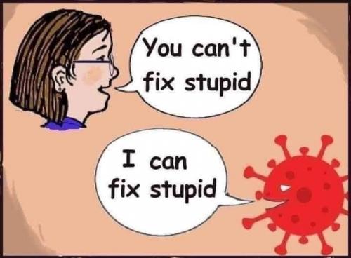 08933A7E-B659-4E91-B2EB-4175D01AD500