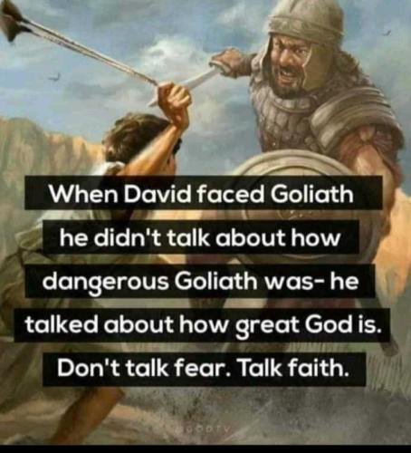 774482a0e9010c2b (1)