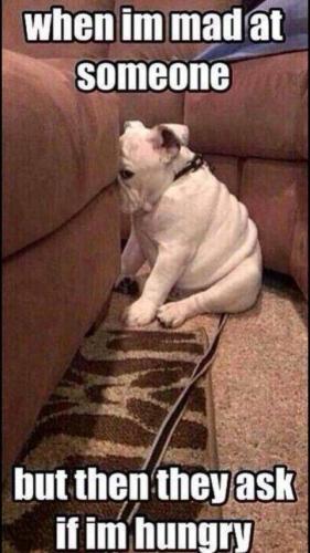 6D22BBBE-F0F9-400B-877C-D80198FC8047