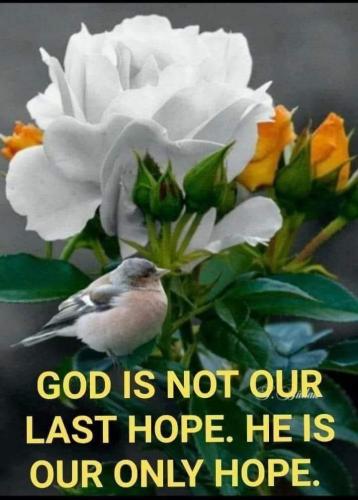 sngine_b34ba924c617a3cbf14227b6c430d89b