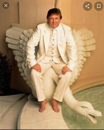 photo_2021-02-11_21-00-17