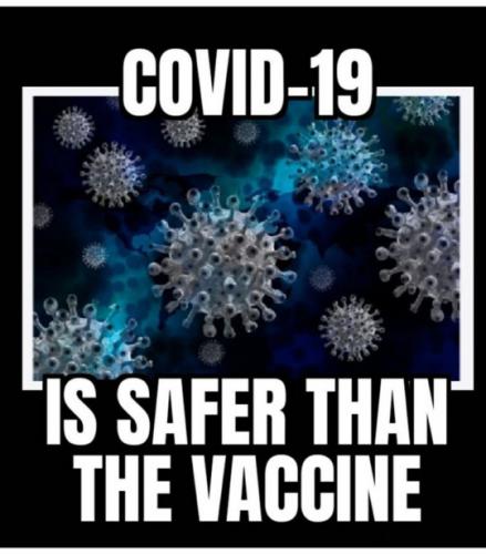 Tumblr_l_18456690829156