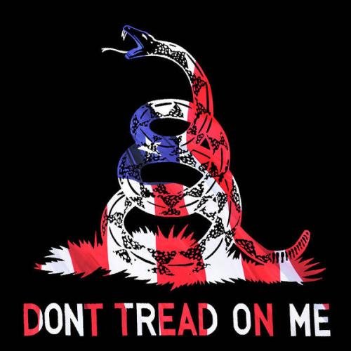 american-pride-dont-tread-on-me-square-luke-moore