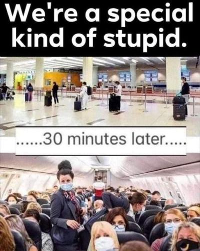 special kind of stupid