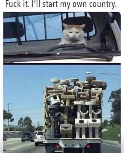 photo_2021-10-14_00-22-04