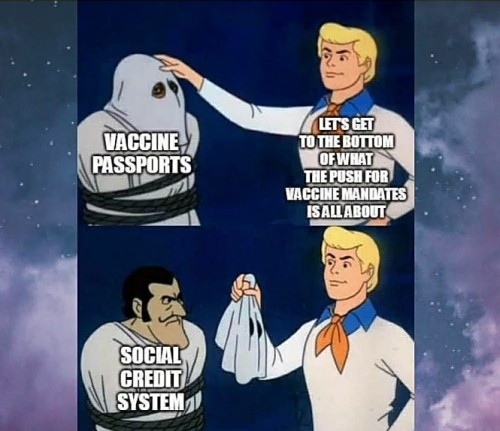 Screenshot_20211012-041033~2