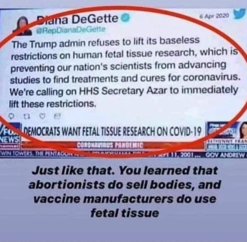 image_1633734360.834