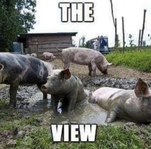 7109418E-8A37-48AE-BE3C-016C5C3CA183