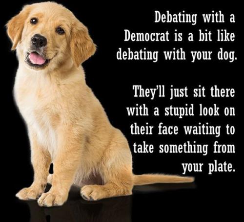 244034808_4428970330489551_7320582767454663772_n