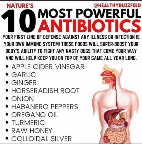 BA26003A-9606-42A0-A0F3-CB160BAA4A82