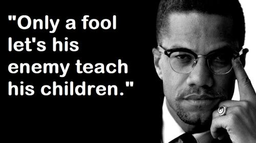 Malcolm X Fool Let's Enemy Teach Kids