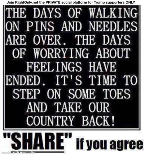 image_1635702241.133