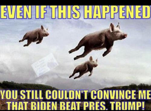 sngine_dd42602aeaf63bc342a9ad744e786042