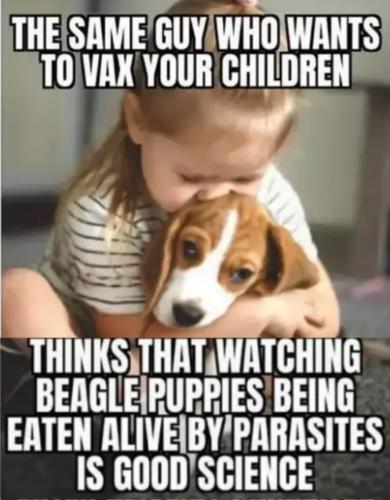 Screenshot_20211026-031517_Gallery