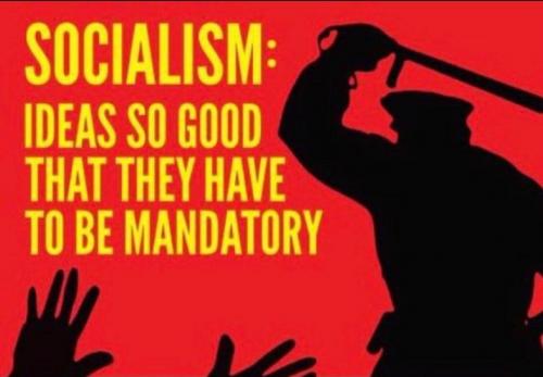 Screenshot_20211007-053005_Instagram