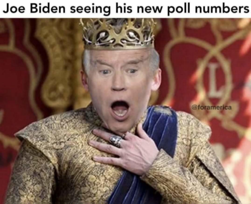 F Biden polls