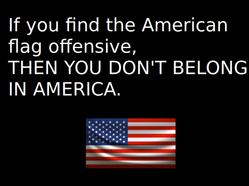 If this flag offends you...