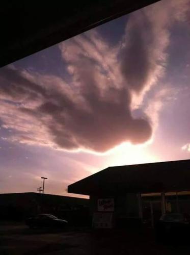 ANGELS FROM ABOVE