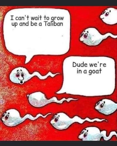 244544355_189224703352676_225383718012607901_n