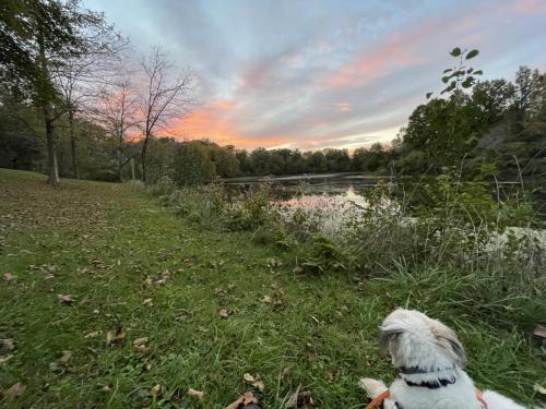 8DD966F0-2675-43C3-A052-35787EDF4501