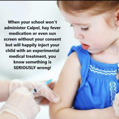 515JaYztKYXhc9r1RehI_08_20298bf3c88795a0d61ddece8830ff94_image_original