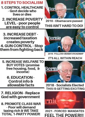 Bernie