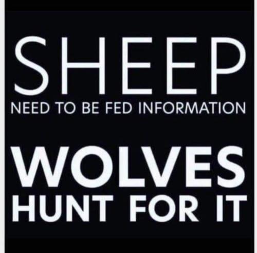 B50EF96A-3016-455C-AA3D-21128DAE240A