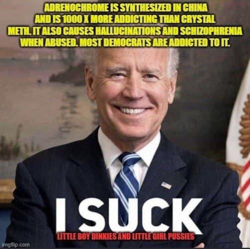 BIDEN PEDO1