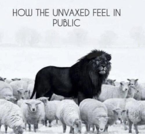 SmartSelect_20211026-210245_DuckDuckGo