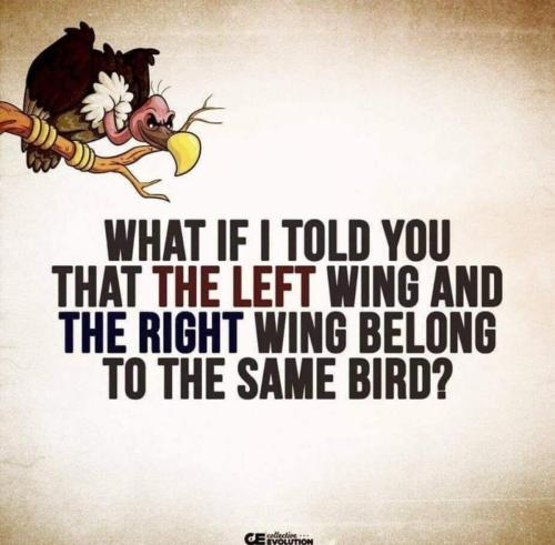 image_1633817994.341