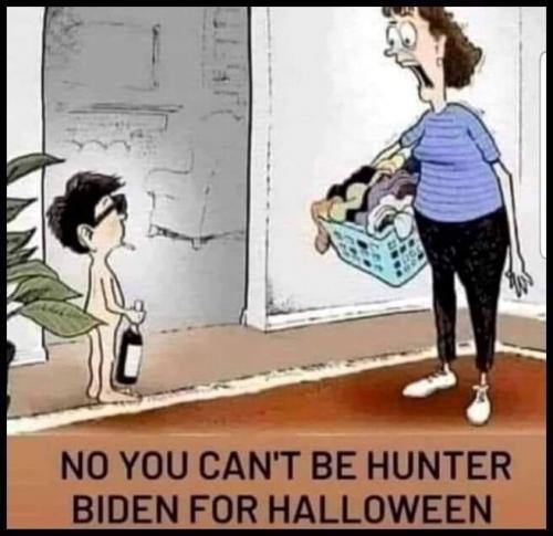 meme hunter biden costume