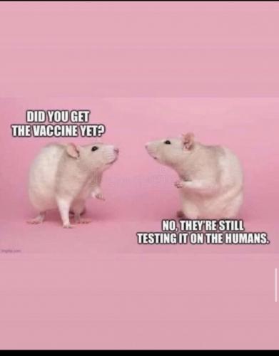 18830CDD-272E-446A-BD02-135D32D07CE1