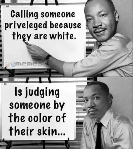 martin-luther-kind-board-calling-someone-privileged-because-white-judging-by-color-of-skin.jpg