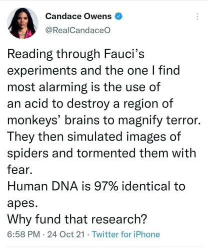 photo_2021-10-25_20-37-36