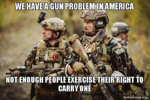 Guns338
