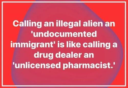 Illegal Alien