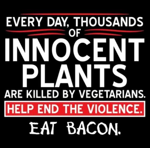 FTqWzELWCGReHyUV2DbH_14_ca3b29afc3f543f82ce9ab4706f10d8d_image