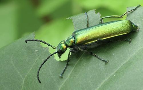 891FFB0C-1683-4640-A726-C90EFABD9B00