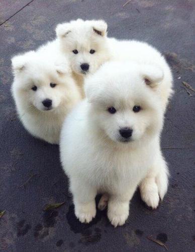 IMG_20211012_193934_481