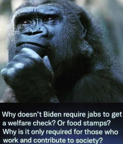 welfare